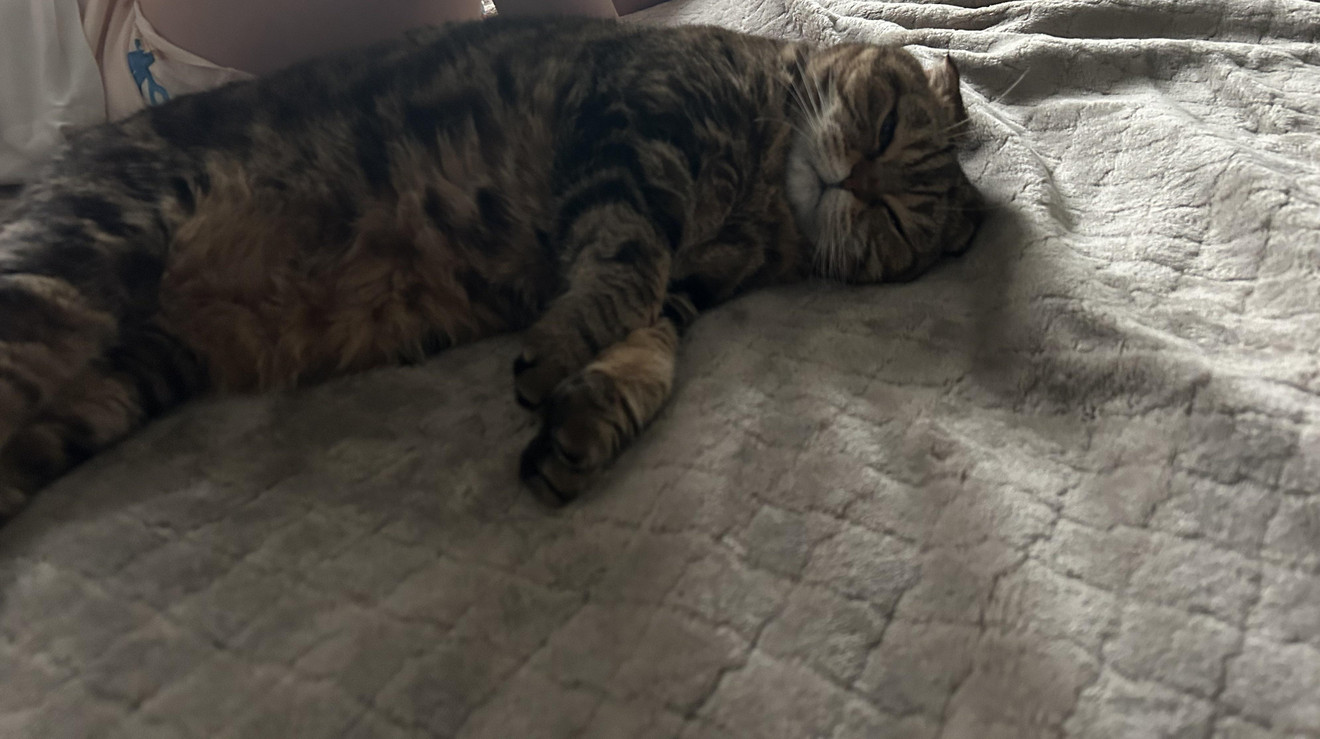 Lucy’s morning routine