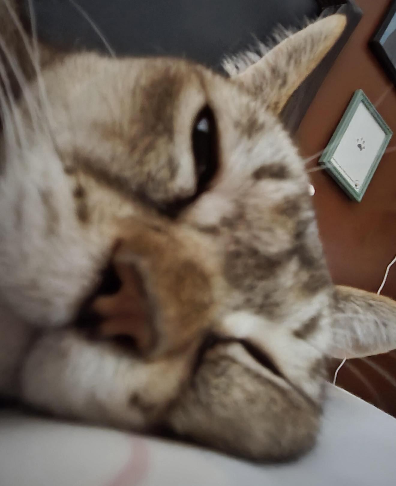 He melted