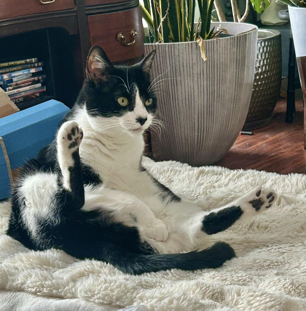 This is her preferred way of sitting